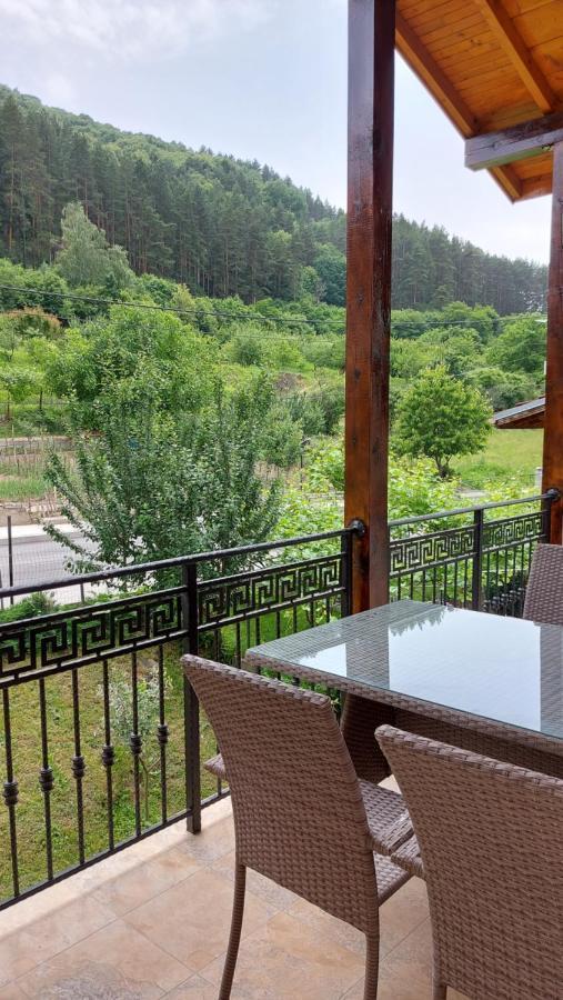 Forest Apartment Sapareva Banya Dış mekan fotoğraf
